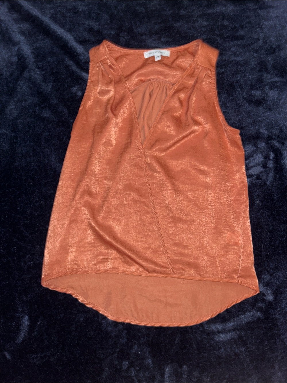The Vanity Room Satin V-Neck Camisole in Rust Orange